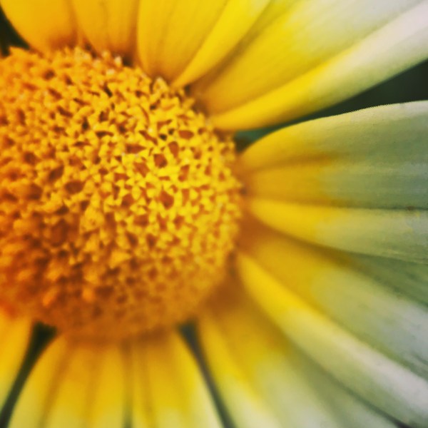 9A045634-E7F3-4227-BDCD-C7554CDCB8CD