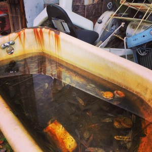 B3800517-353F-41F1-AAC6-BD8FBB9680B0