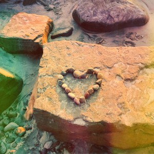 1E1B082D-401A-4833-8676-FF89E600BE6C