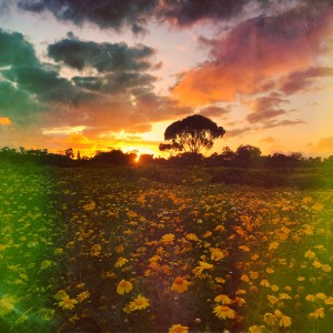 B0D4EF3C-0F59-4FFA-8C10-31FA6F2B88BB