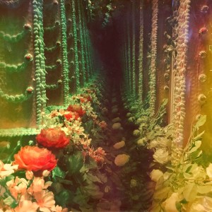 B1067471-B493-4FF9-995C-866C2EE8096F