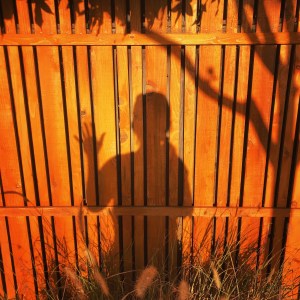 2F76650D-7360-42DC-B155-19D08398B5EF