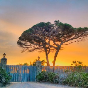 75A7CB0E-906A-4570-B419-23266DC19E1B