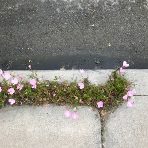 C61828C7-258D-48C0-8C76-B42219BC241D