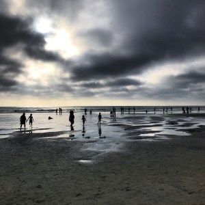 EBDB5EE6-BD3B-48A9-B11D-2FA5AE0FA9B1