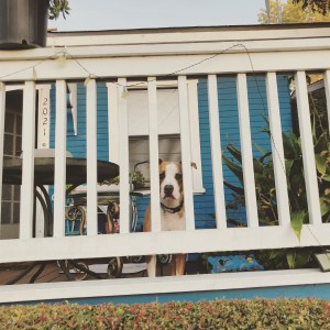 40DB8521-A37B-4CA4-9709-485B13C27332