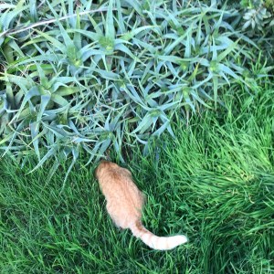 F1E2D77E-B851-4216-BE6C-3C5F8DEA2F57