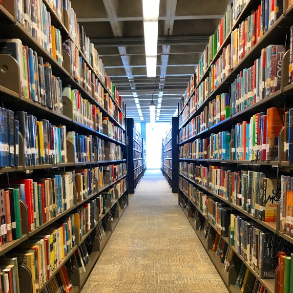 lost in the library