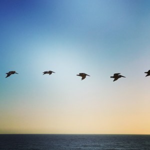 66EF879B-3F23-4739-A890-097B0FB09D6A