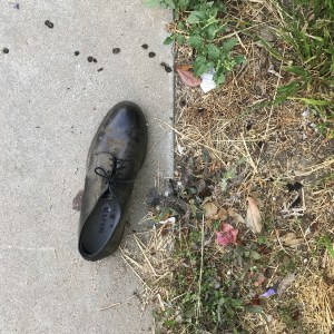 71A8C6CB-46C9-401E-99B1-6694F6983DA5