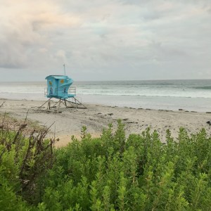 DDDED4A9-E4CC-4A55-A324-B18B09AC519F