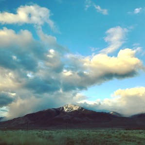 898A023F-16D9-4990-BF29-4054F2028112