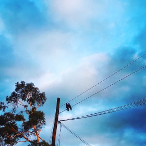 B699C58A-56BE-42F9-8560-E40858309310