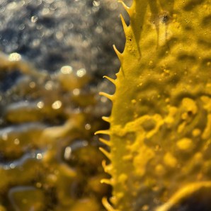 5A541AC4-7E76-421C-883D-C05E3DA14706