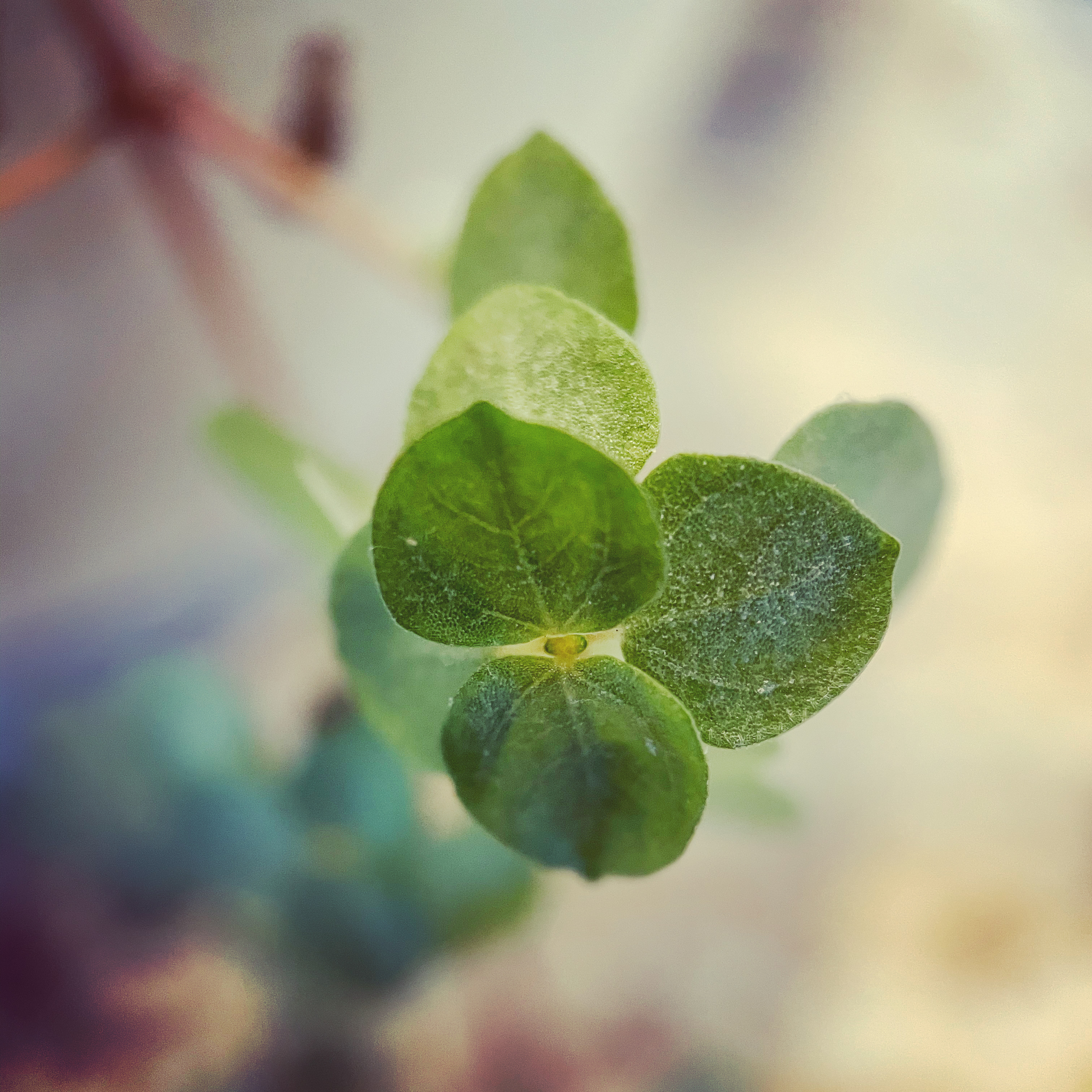 4A82B95C-9794-45AF-A16D-AE1F64C9A9BF