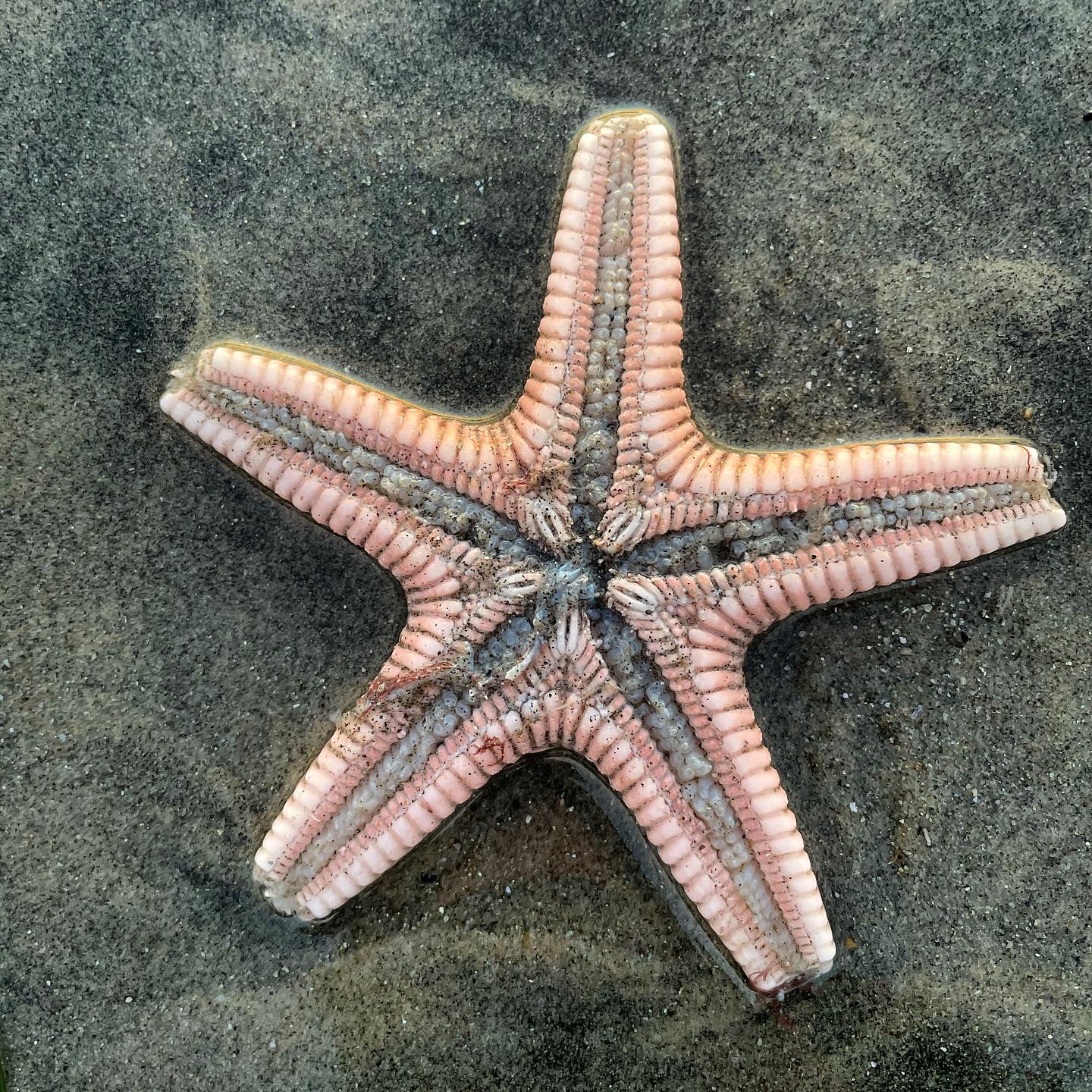 54427C20-DF21-475B-B548-85DC42A5D8A7