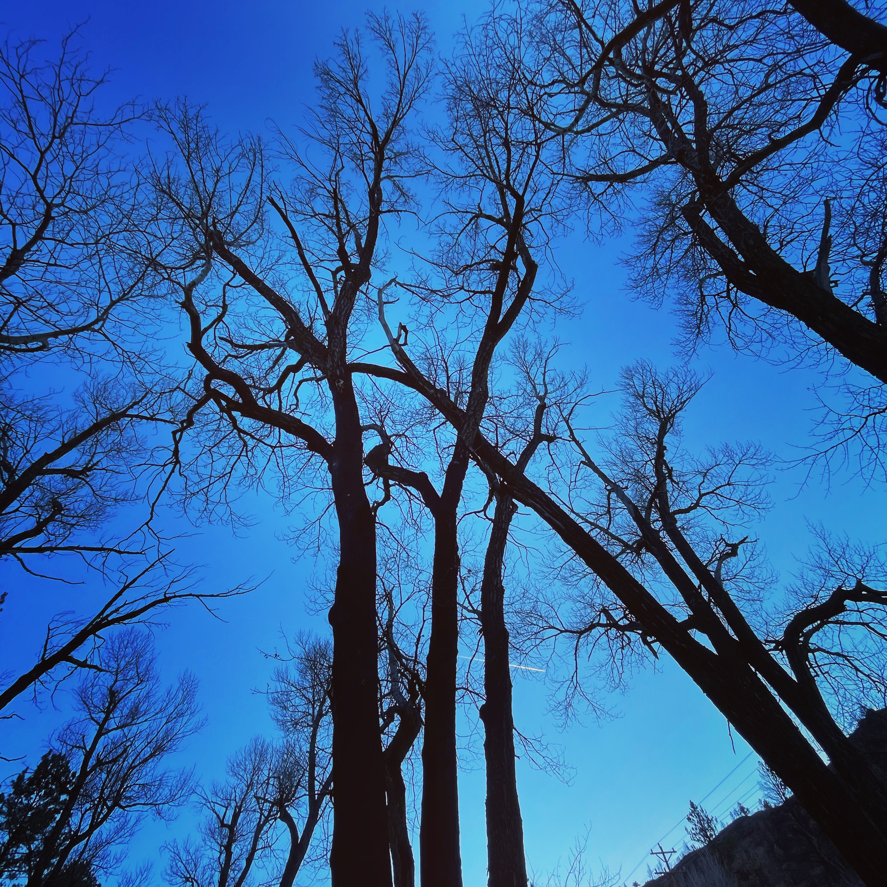 59E0909D-8009-4509-8B86-474243594FAF