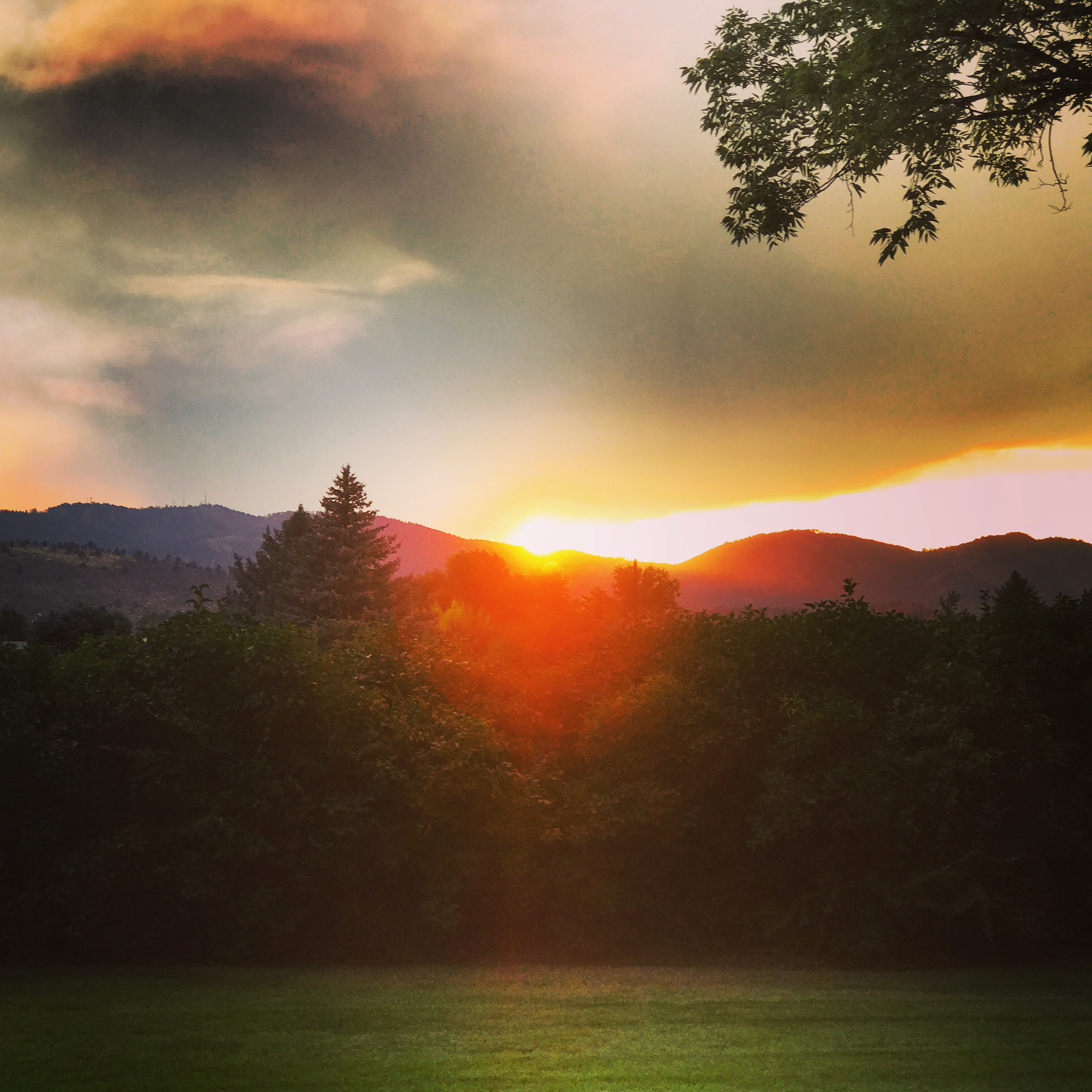 9D764D92-4FC3-48B8-BC76-5E0D272868AD