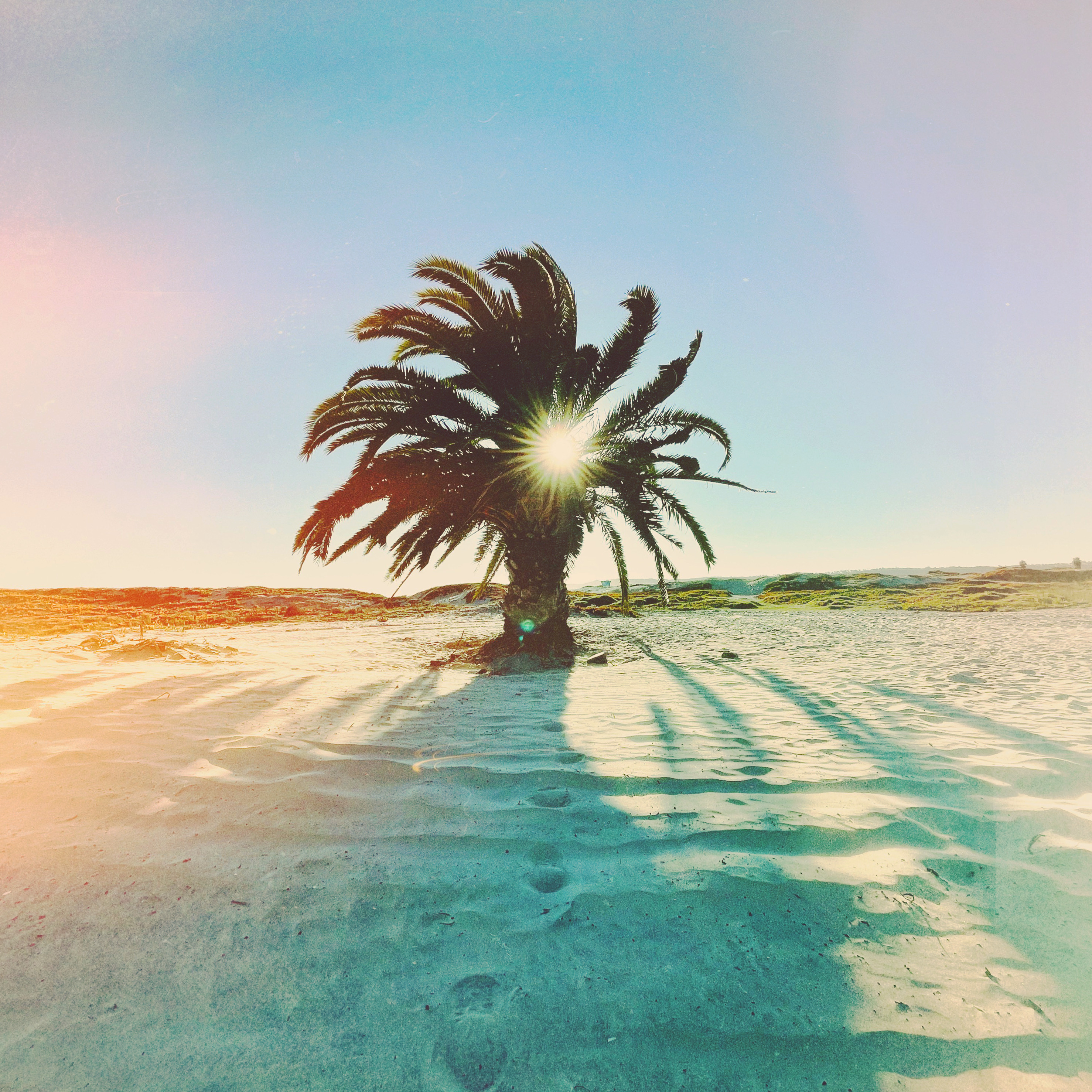 F6C1B257-CE6F-497F-9C90-FD3936CBE267