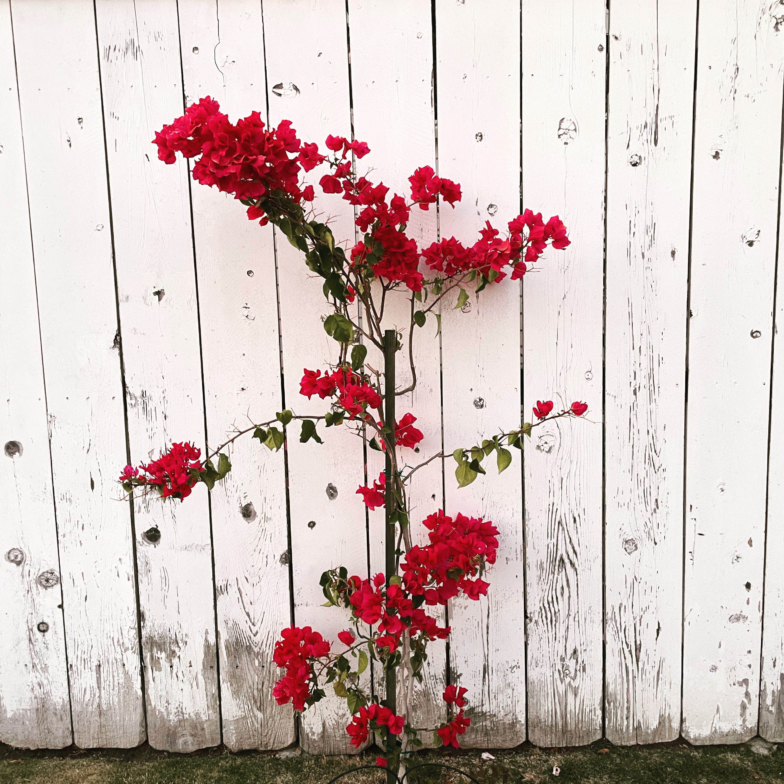 40ED9565-7AD0-49F3-83A4-27DEF7C40FD9