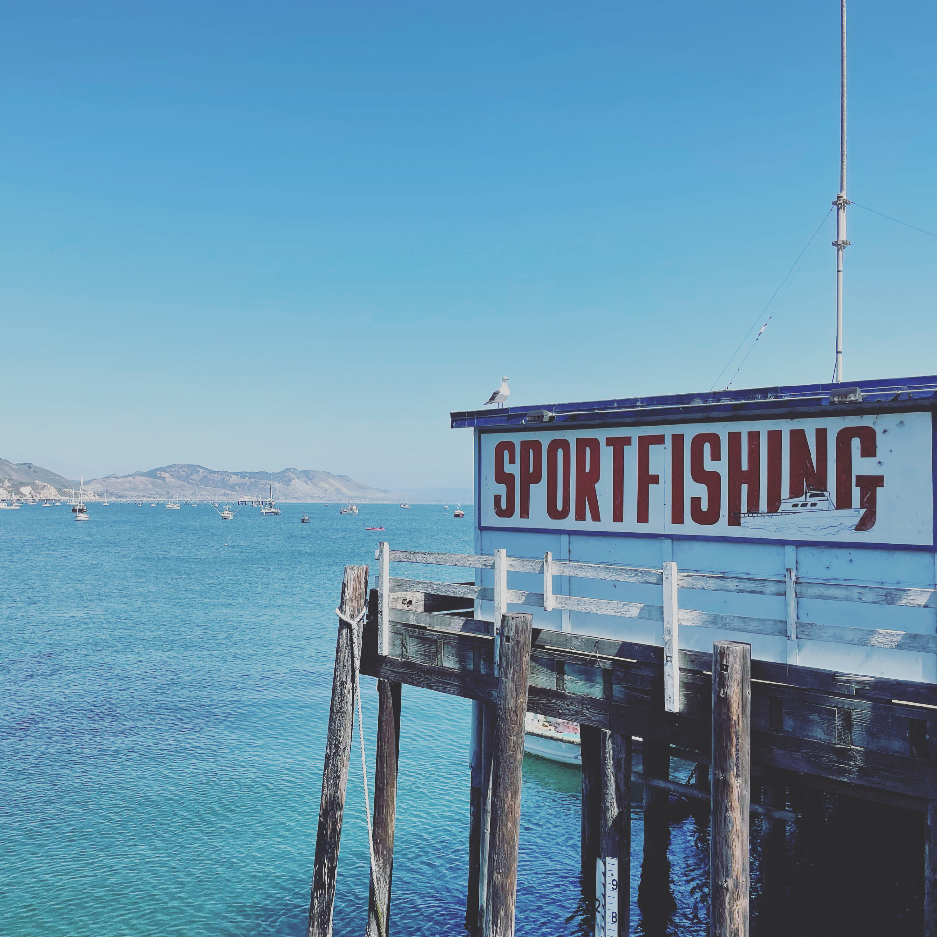 7CCC2ADF-6713-4123-A271-D992E29A2062