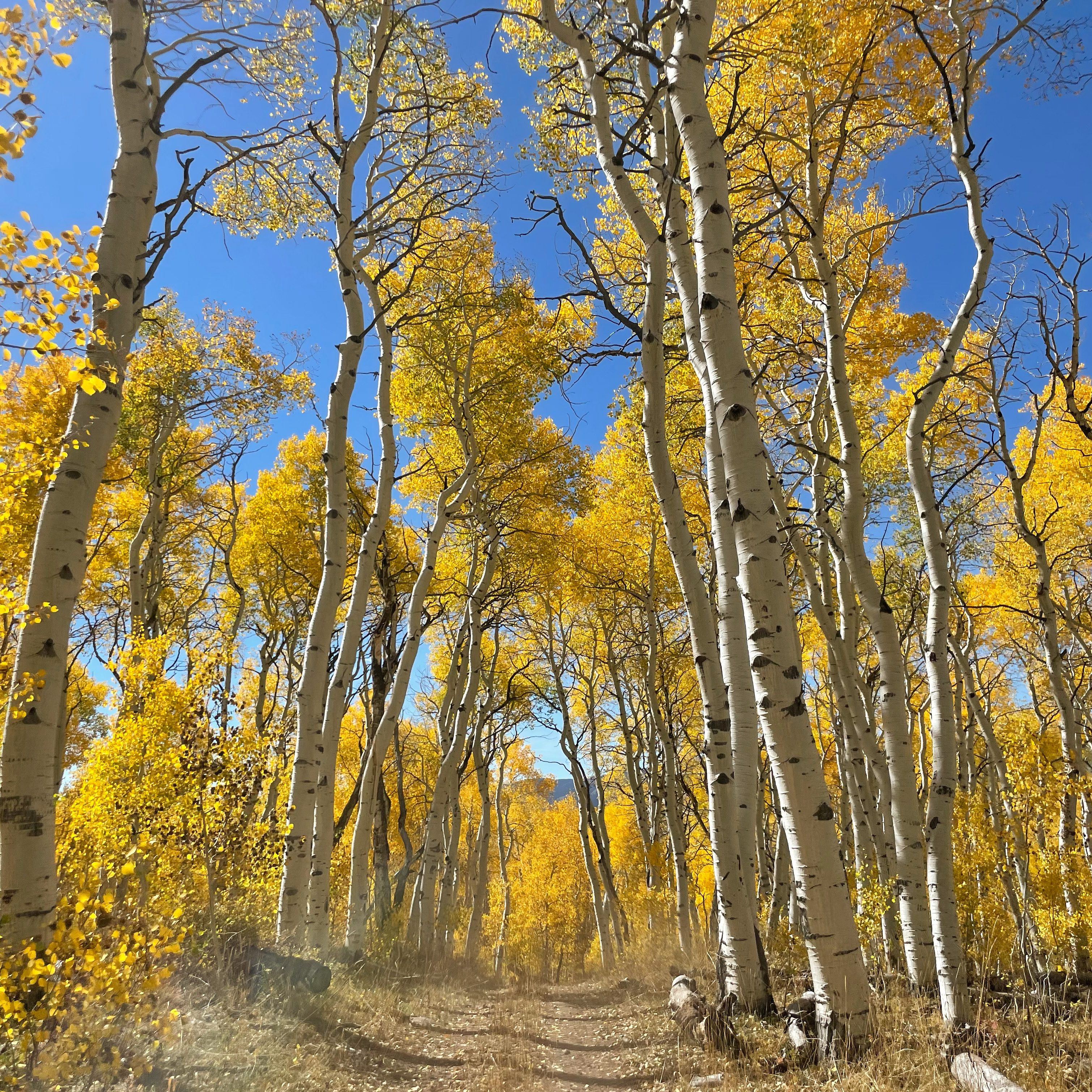 3A3D921D-EE71-4EE0-9CA6-8E489B330C19