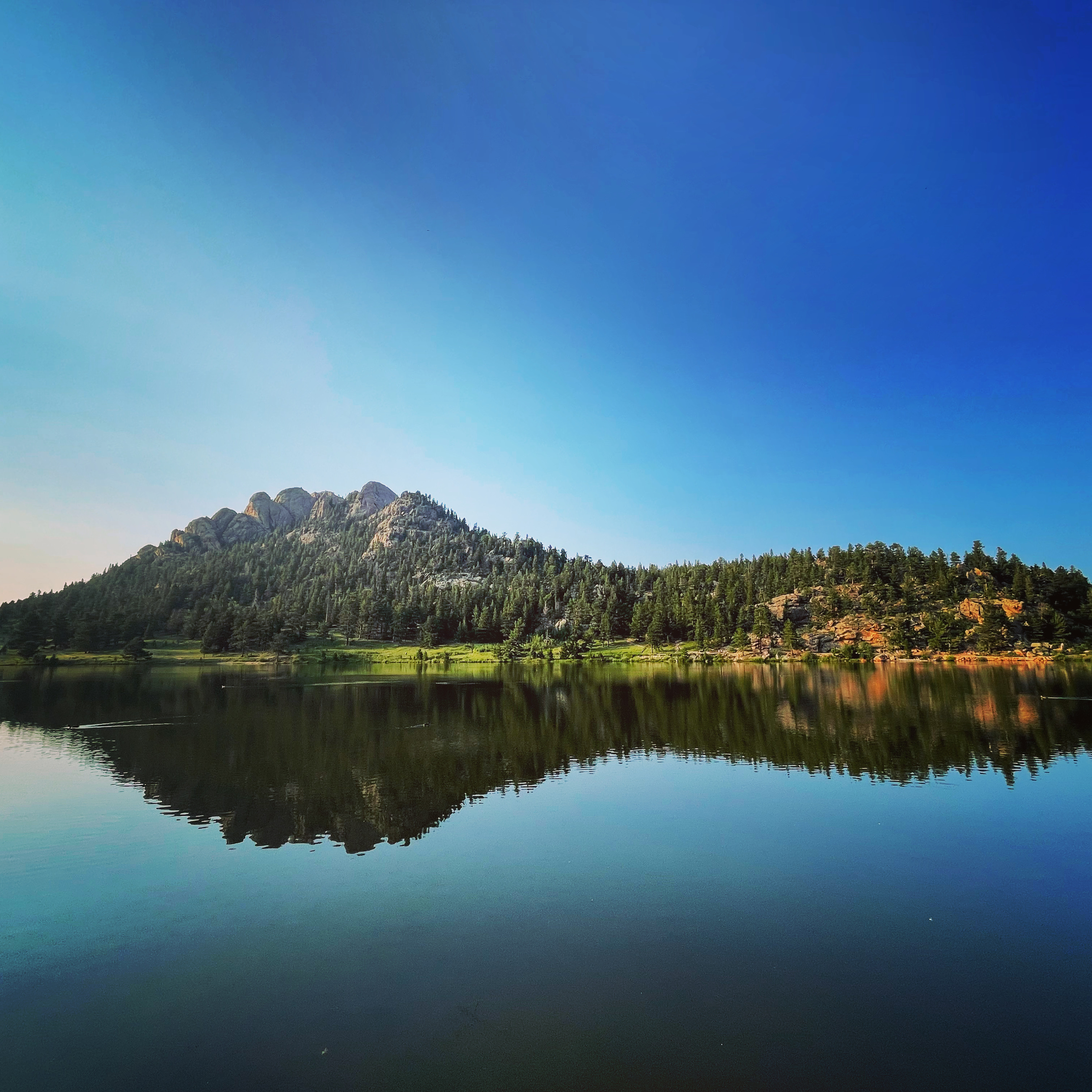 7397D107-C21C-42D3-BF08-0CD06E842DE2