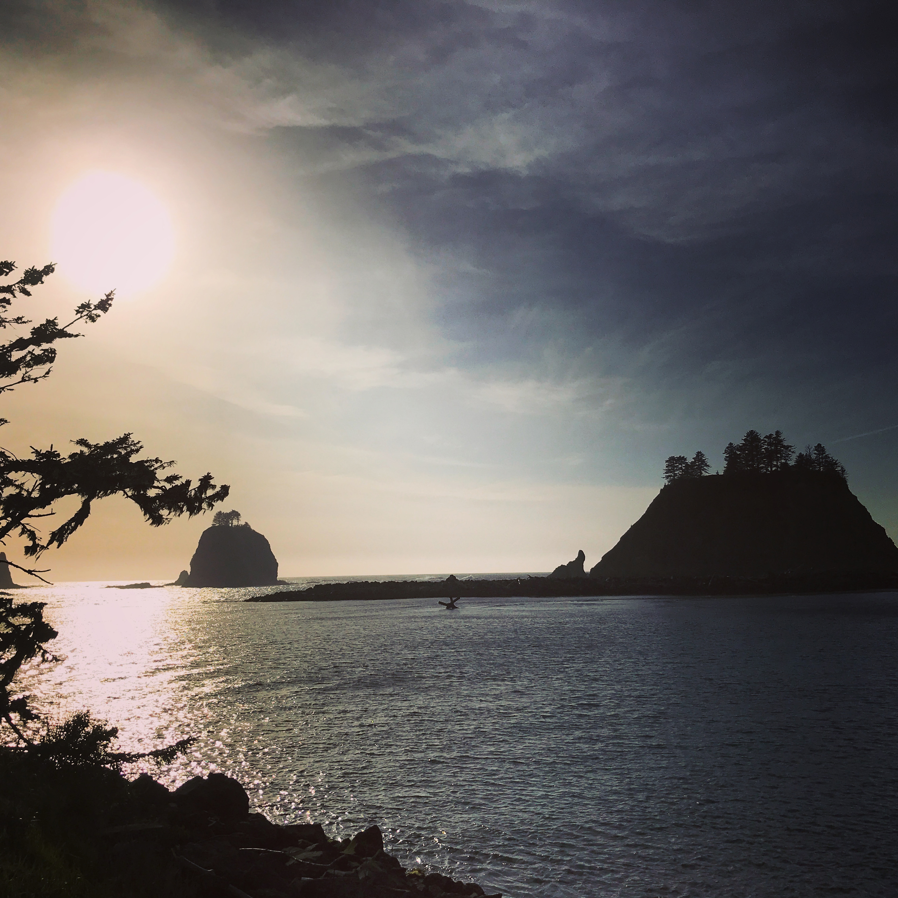 9EF66A29-5368-4D48-B648-9083E8575BB5