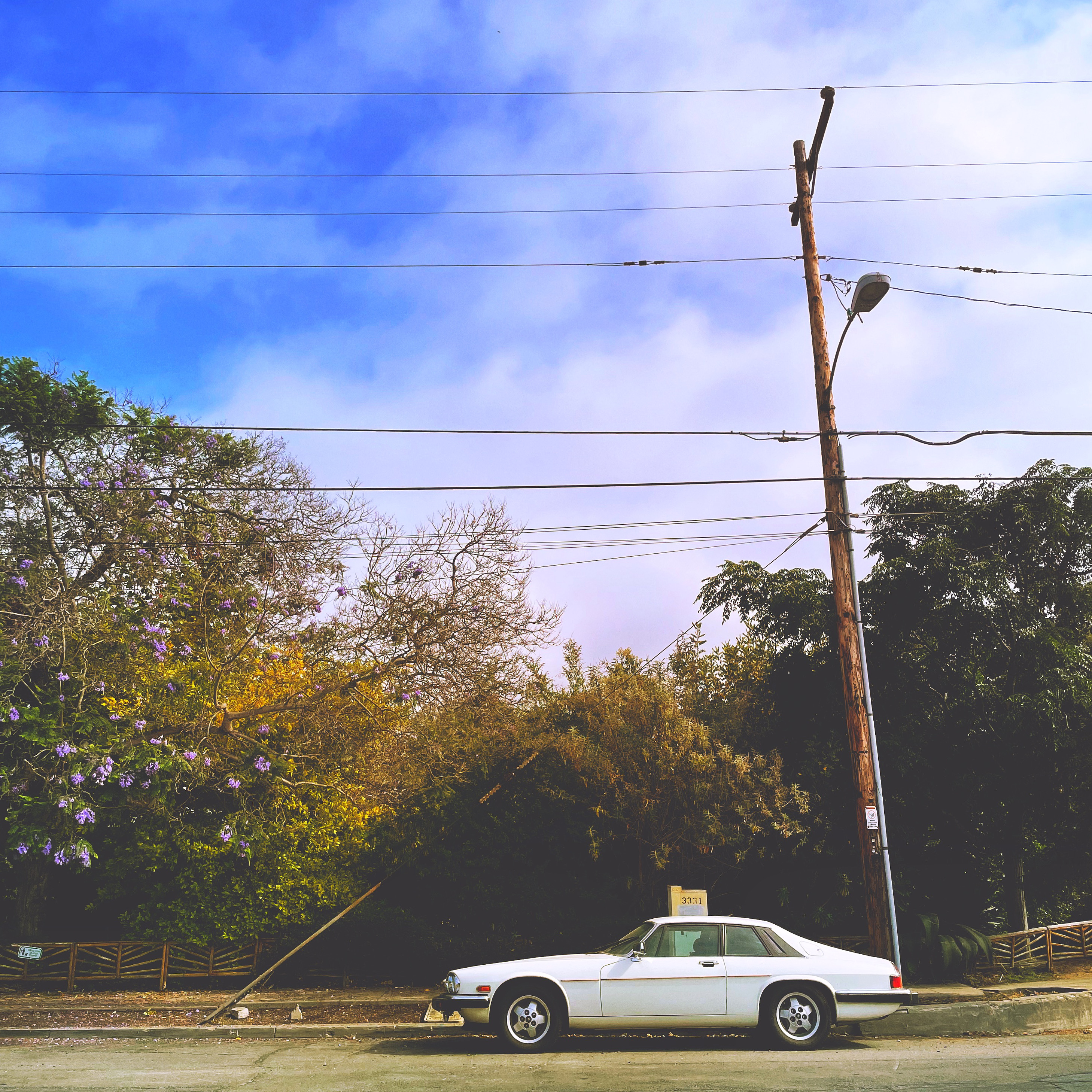 8486551D-991A-4268-9599-3D8DD6E839B7