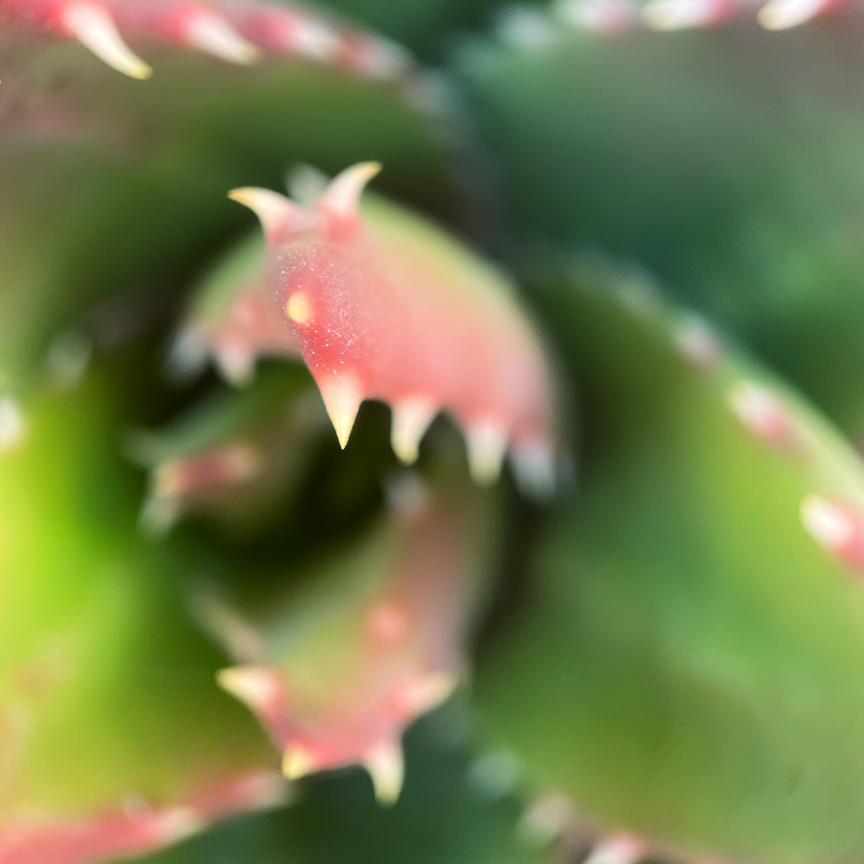 E08AE712-29EC-4A6F-AF92-A2EBC9C63D80