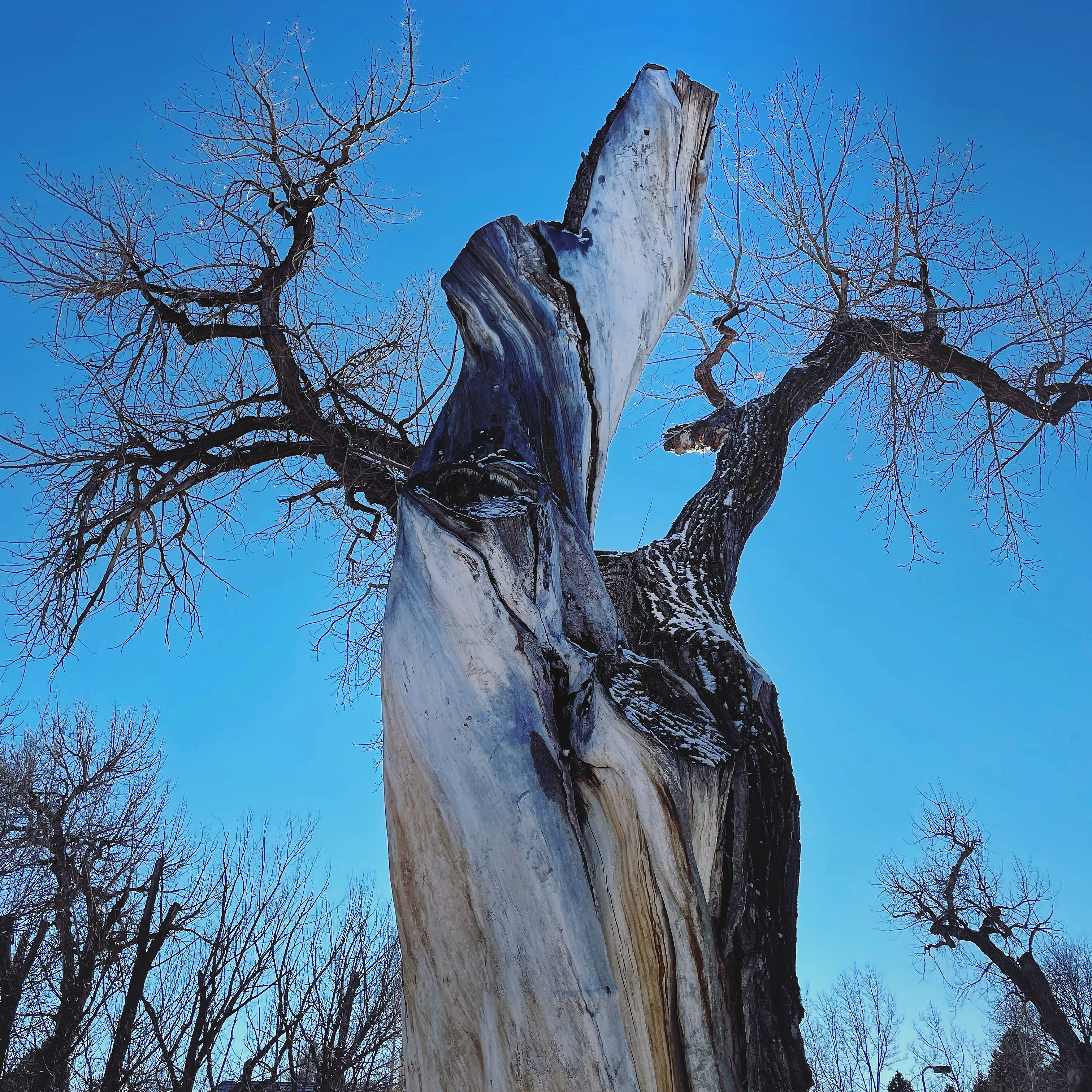 F48E458C-E571-4F36-A05E-D1E22F019CCA