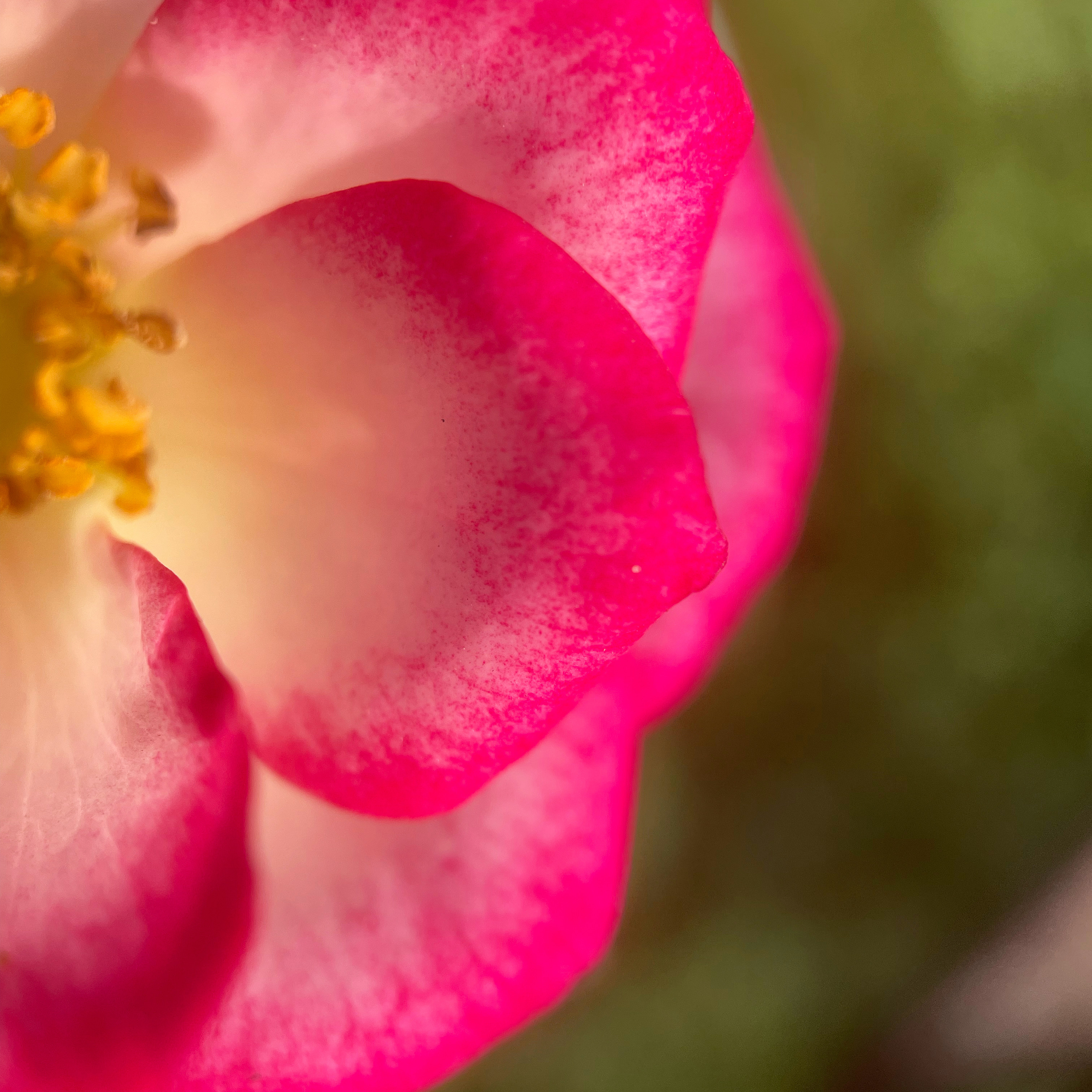 16F27D5D-51E1-428A-862C-7264EEEFAAA8