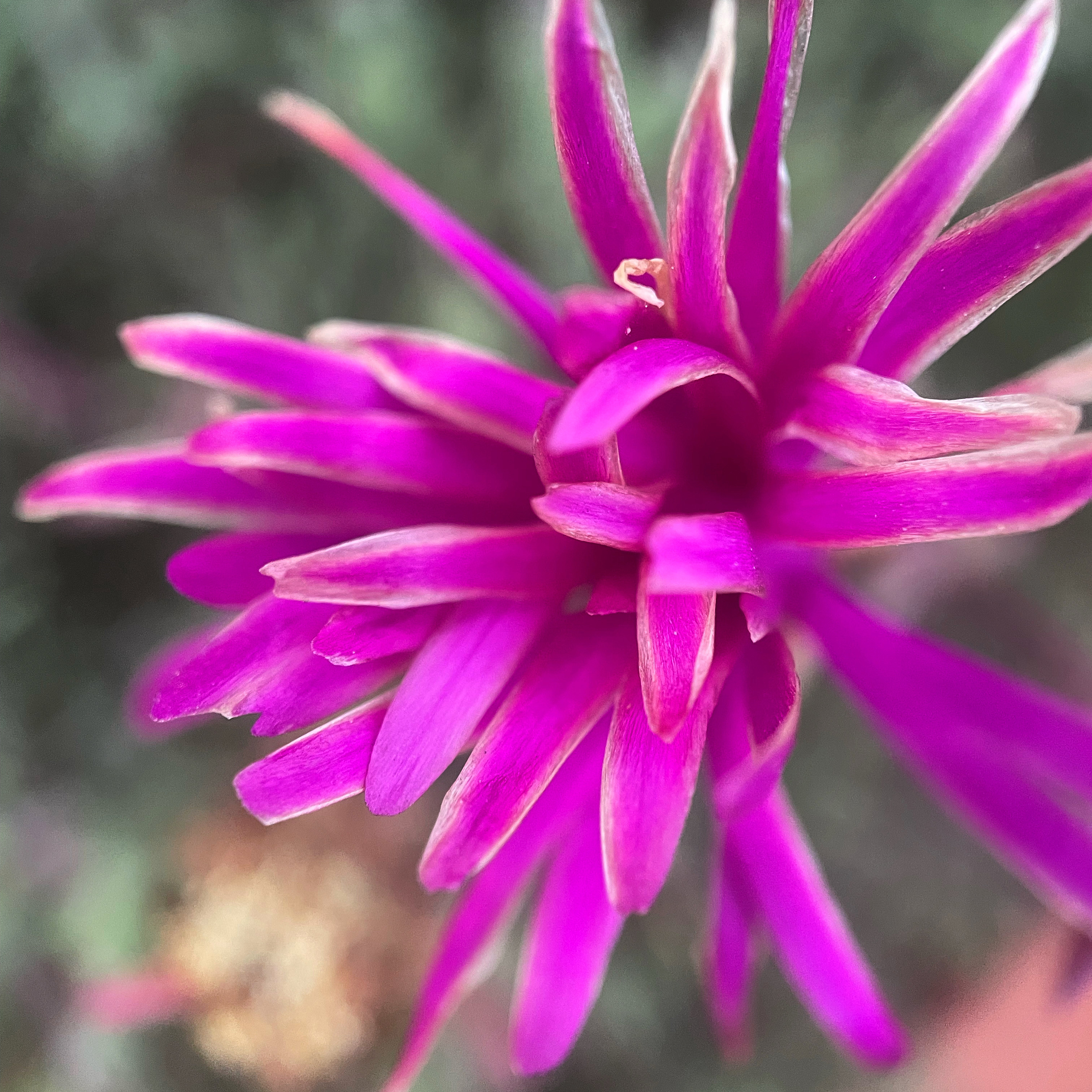 3BCE8E06-D945-4609-A8CC-AB6CDB8CB738