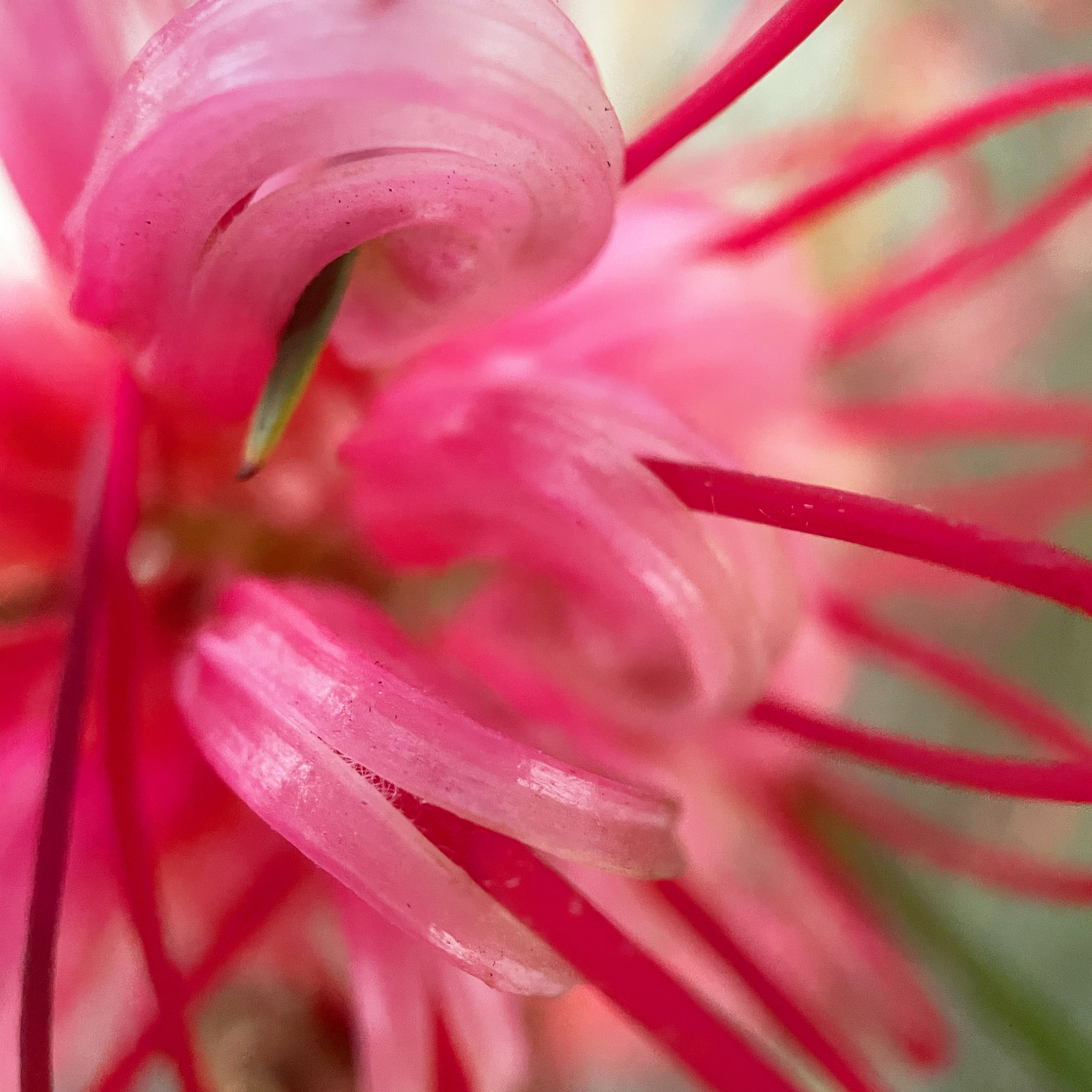 4EA0242B-DF66-4D8B-9828-F578125285C1