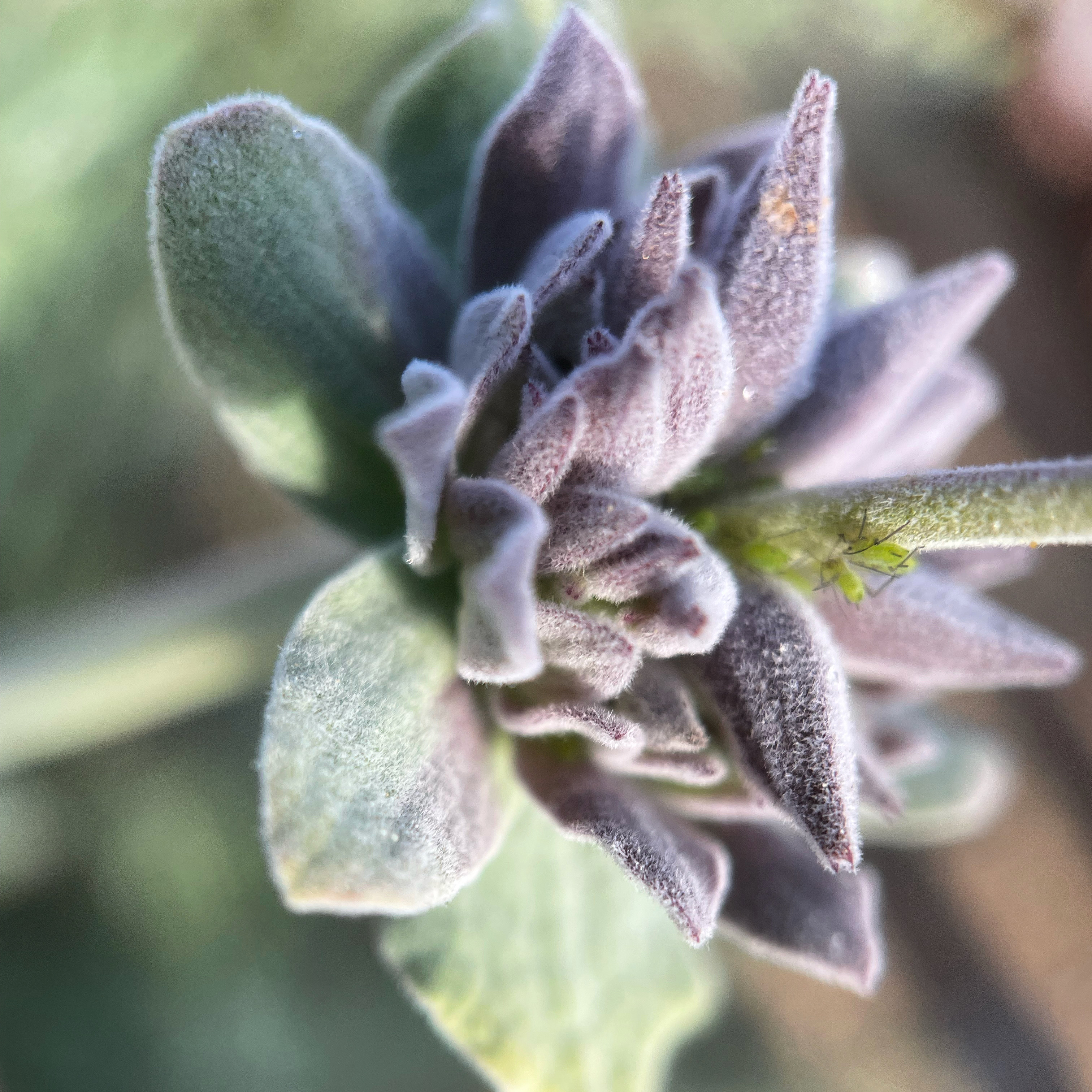 6D9B533C-2906-47D0-8925-3A67D32F0CAA