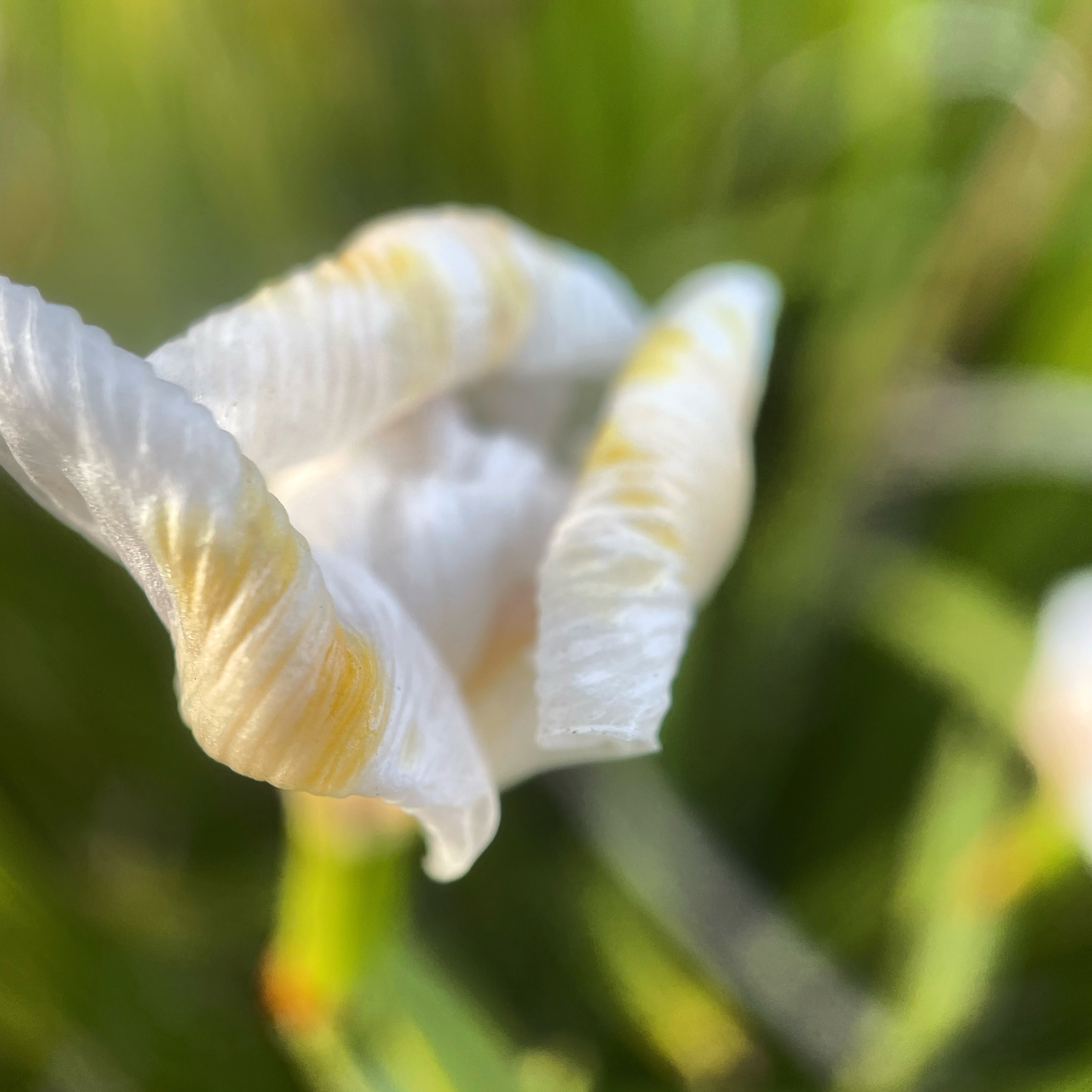 80E7F268-BB49-4D83-97C7-176118CDBB4E