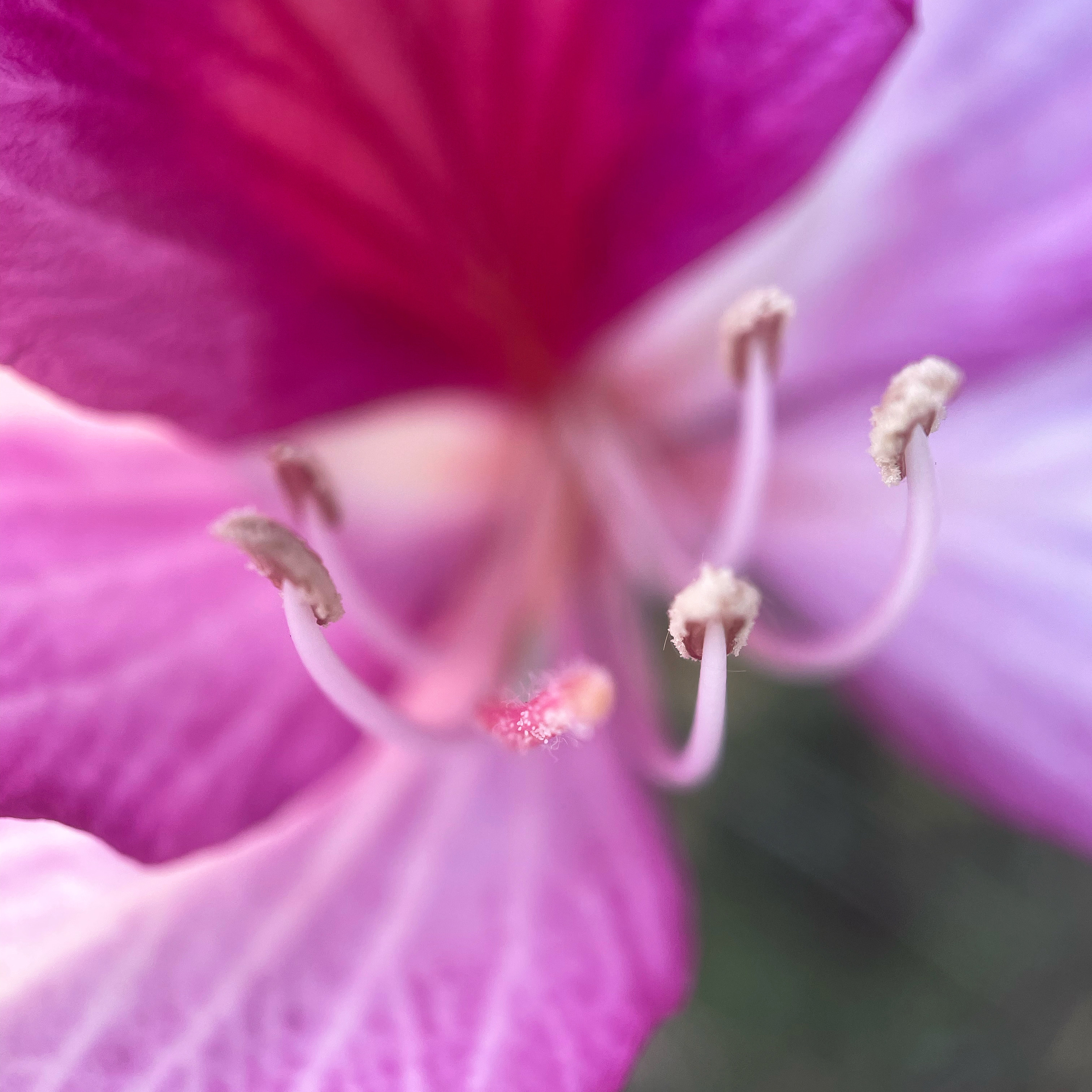 C3EEEE8F-FE6F-4956-BF36-8485B5AF1DF6