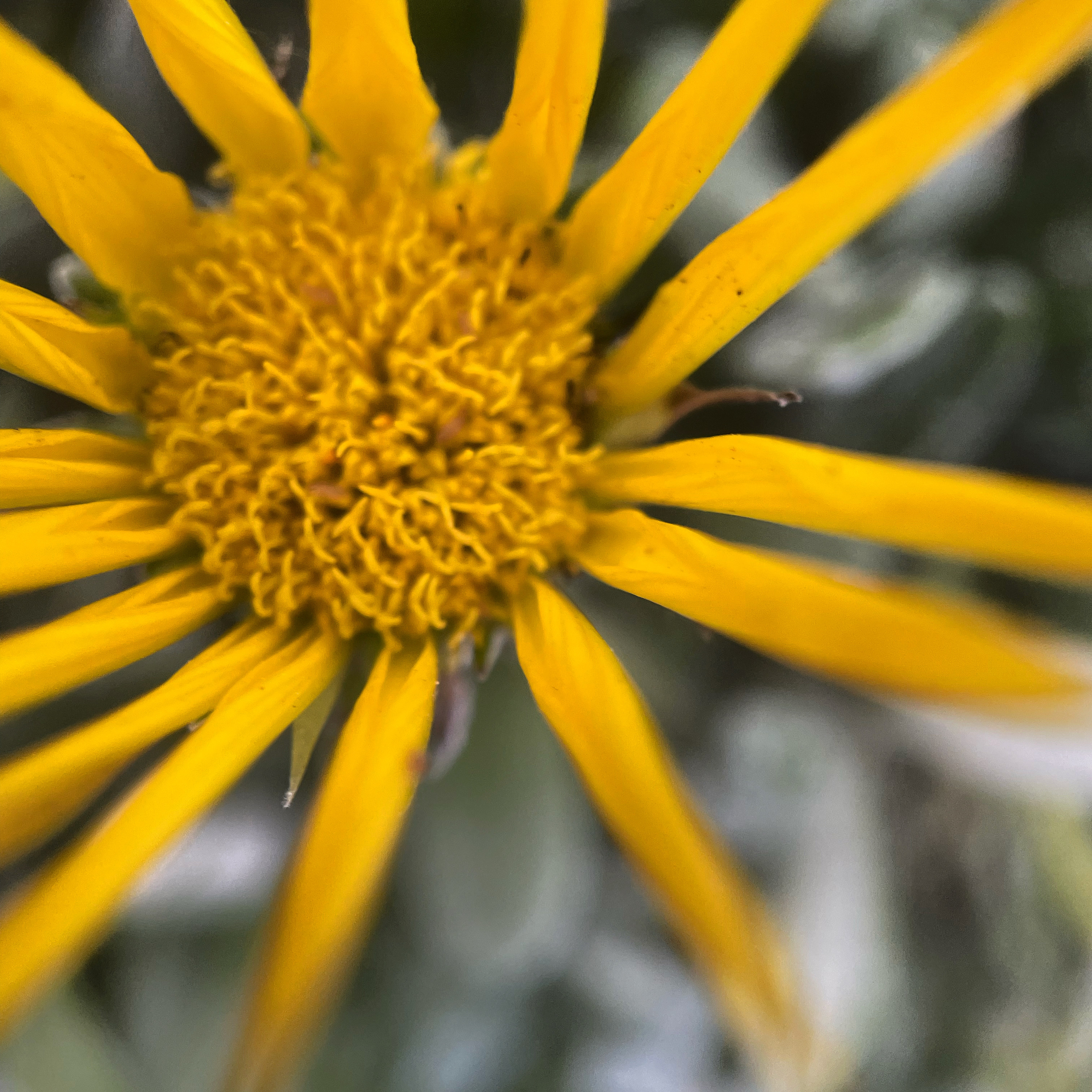 DE1578D9-0D43-4650-B1D2-BD7A9CB885BD